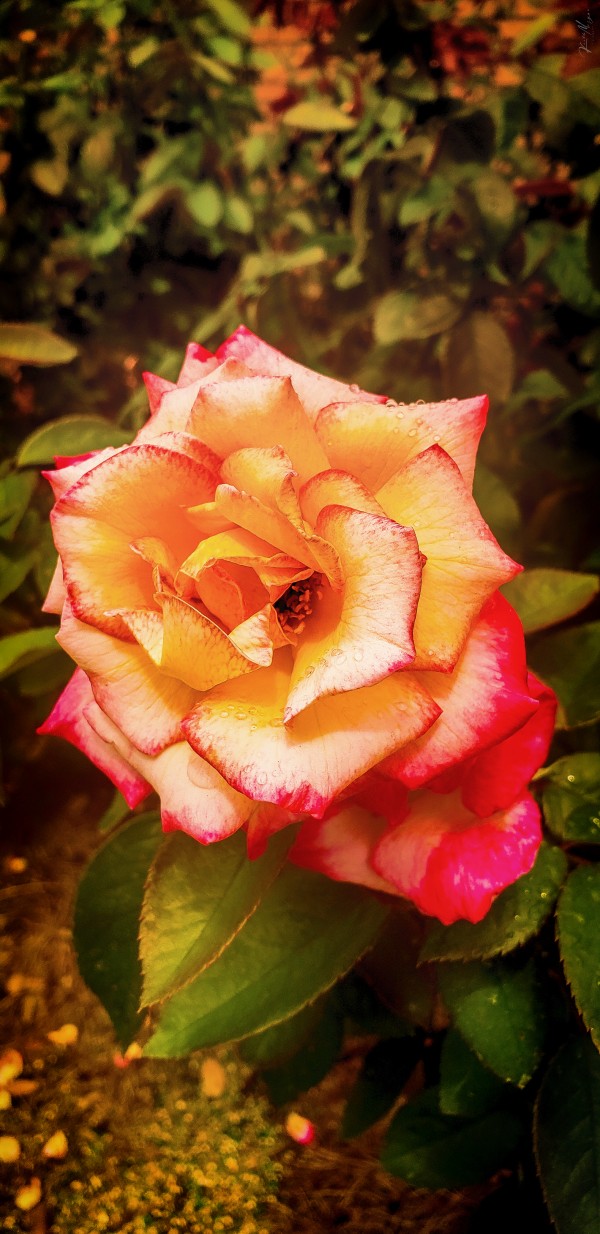 Land 12 by SonicSkylineMedia